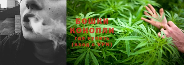 молекула духа Вязники