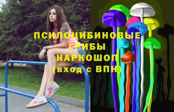кокс Вяземский