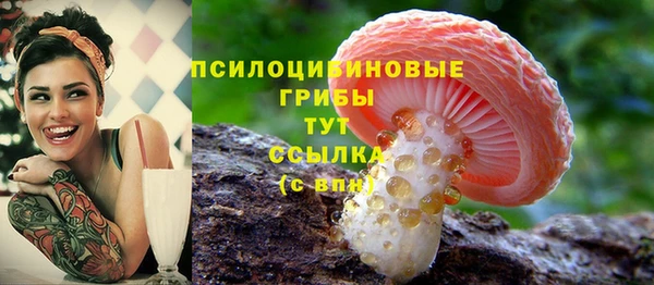jwh Вязьма
